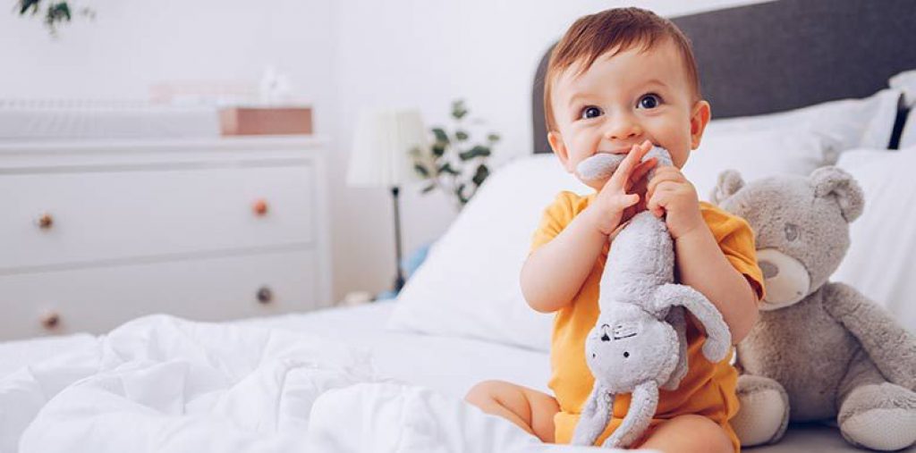 Comparatif des Meilleurs Doudous en 2024