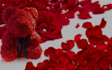 Roseal CuteBear : Cadeau St Valentin – Test et Avis